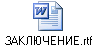 ЗАКЛЮЧЕНИЕ.rtf